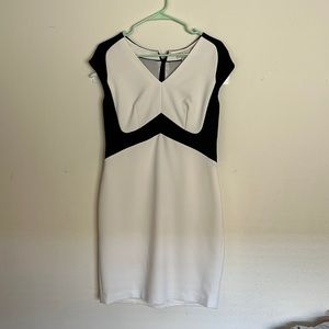 Scandal Collection from the Limited